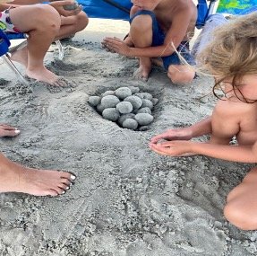 Children on Beach with Turtle Nest